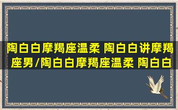 陶白白摩羯座温柔 陶白白讲摩羯座男/陶白白摩羯座温柔 陶白白讲摩羯座男-我的网站